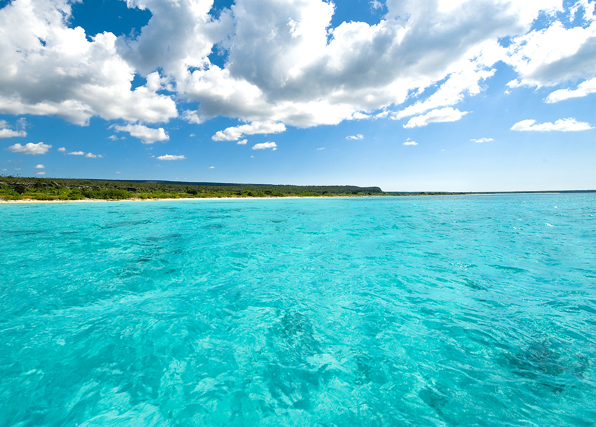 Bahía de las Águilas