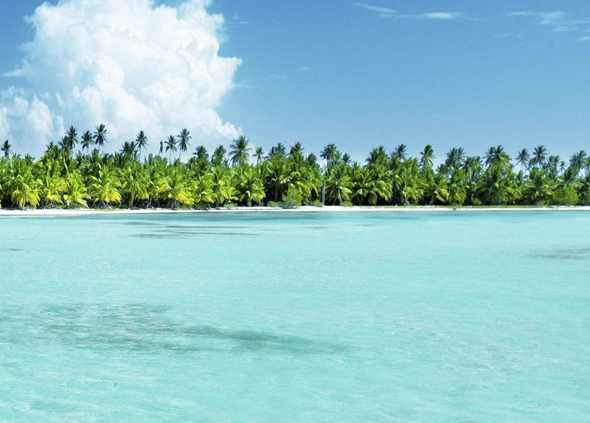 catalina-republica-dominicana-reserva