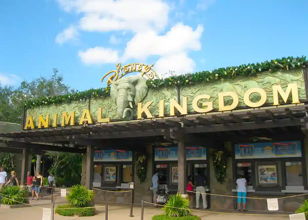 -DISNEY'S_ANIMAL_KINGDOM_ENTRANCE_-_panoramio