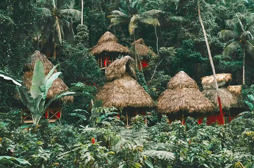 Dominican-Tree-House-Village-resort-ecologico